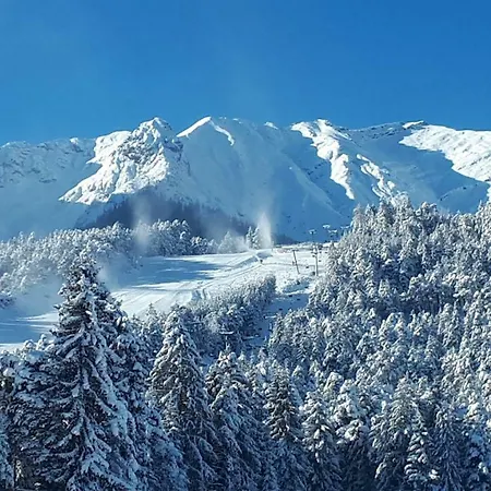 Gaestehaus Friedl Apartamento *