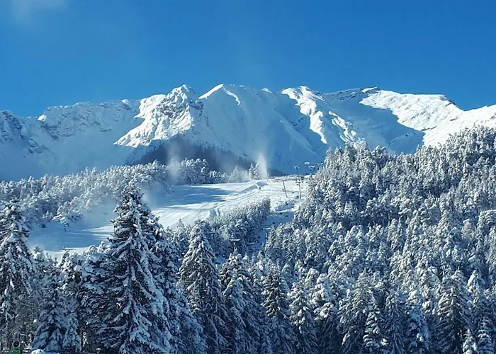 Gaestehaus Friedl アパート *